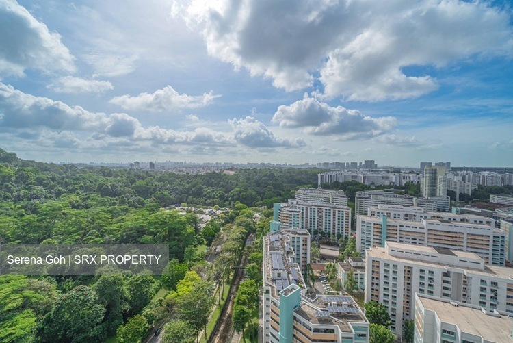 Hillview Regency (D23), Condominium #547721741